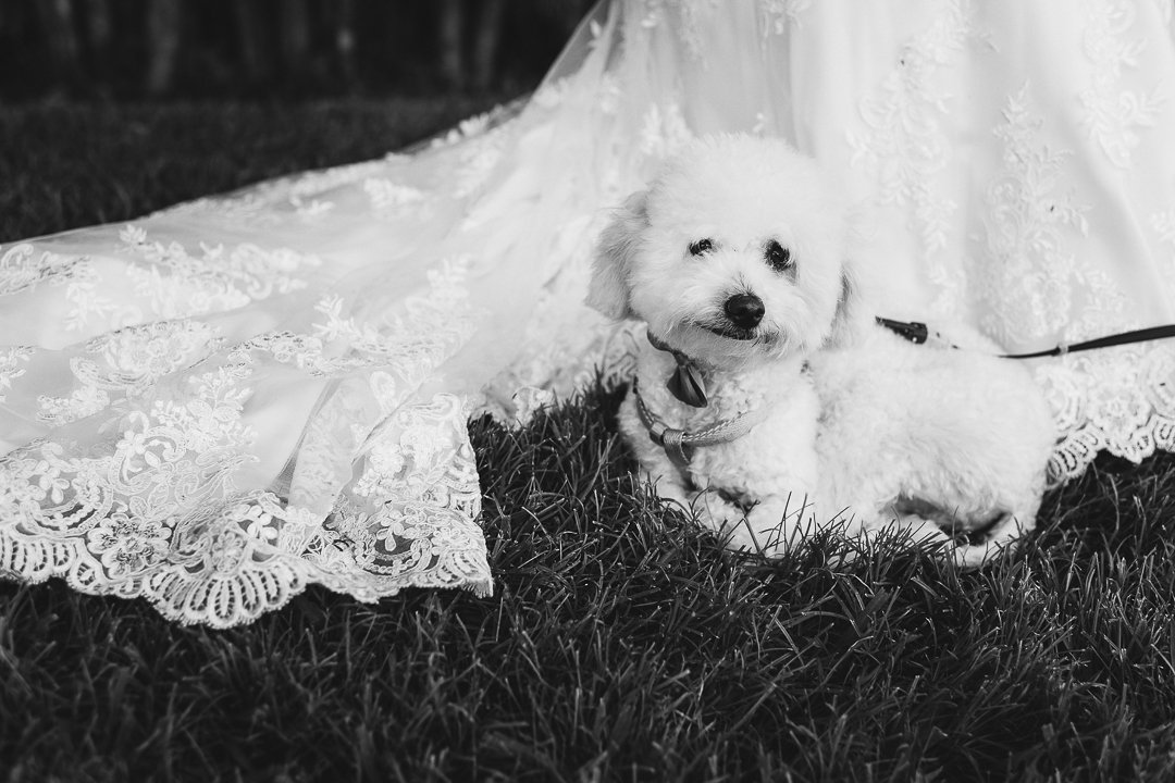 best documentary wedding photographer in mazatlan mexico fotografia documental de bodas fotografo en torreon guadalajara mazatlan vallarta