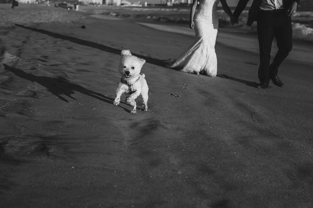 best documentary wedding photographer in mazatlan mexico fotografia documental de bodas fotografo en torreon guadalajara mazatlan vallarta