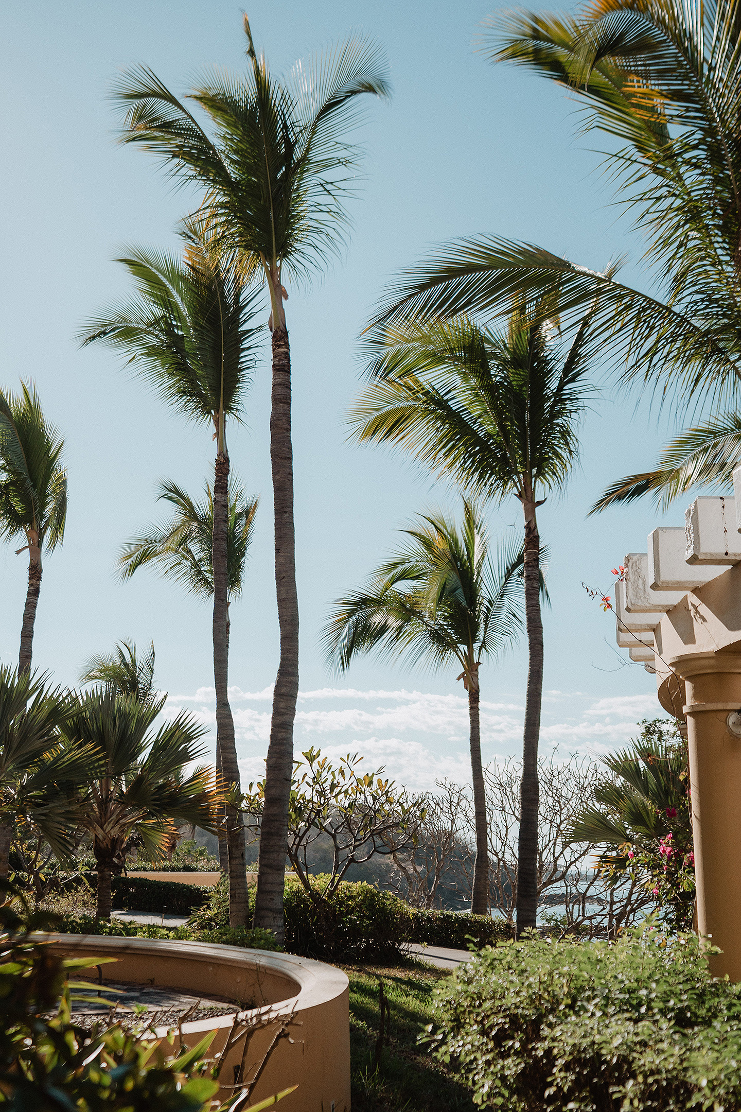 Fotografos en mazatlan, Wedding photographer in mazatlan, engagement photography lovers, mazatlan photographer, wedding photographer in beach, love story, best photographer in mazatlan