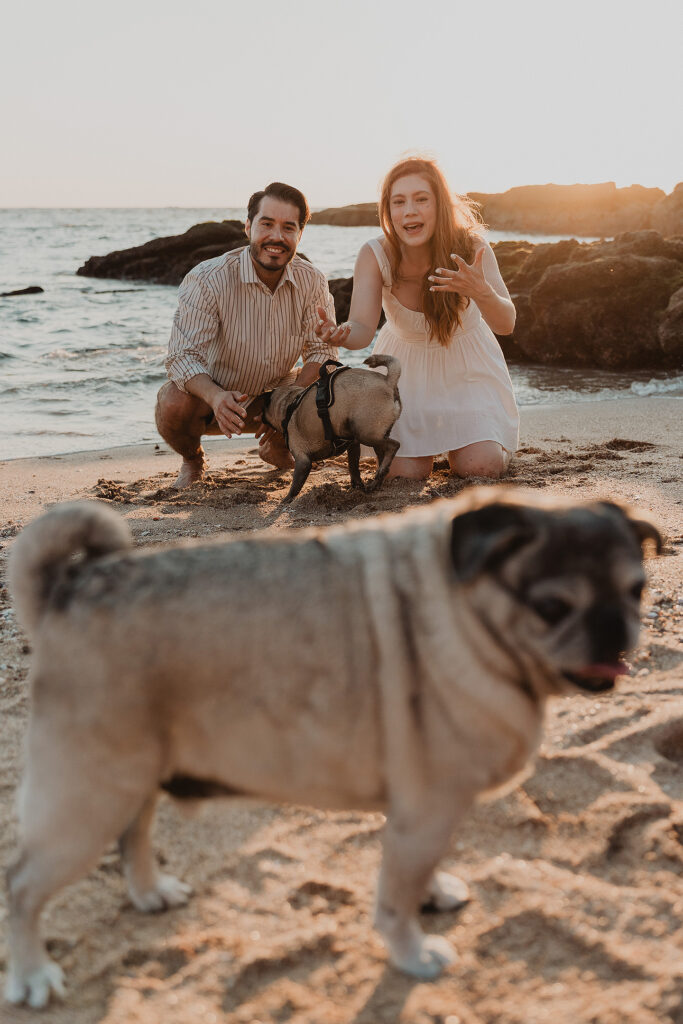 Sesión de pareja en Mazatlán de Xiomara y Alejandro junto al mar con sus mascotas